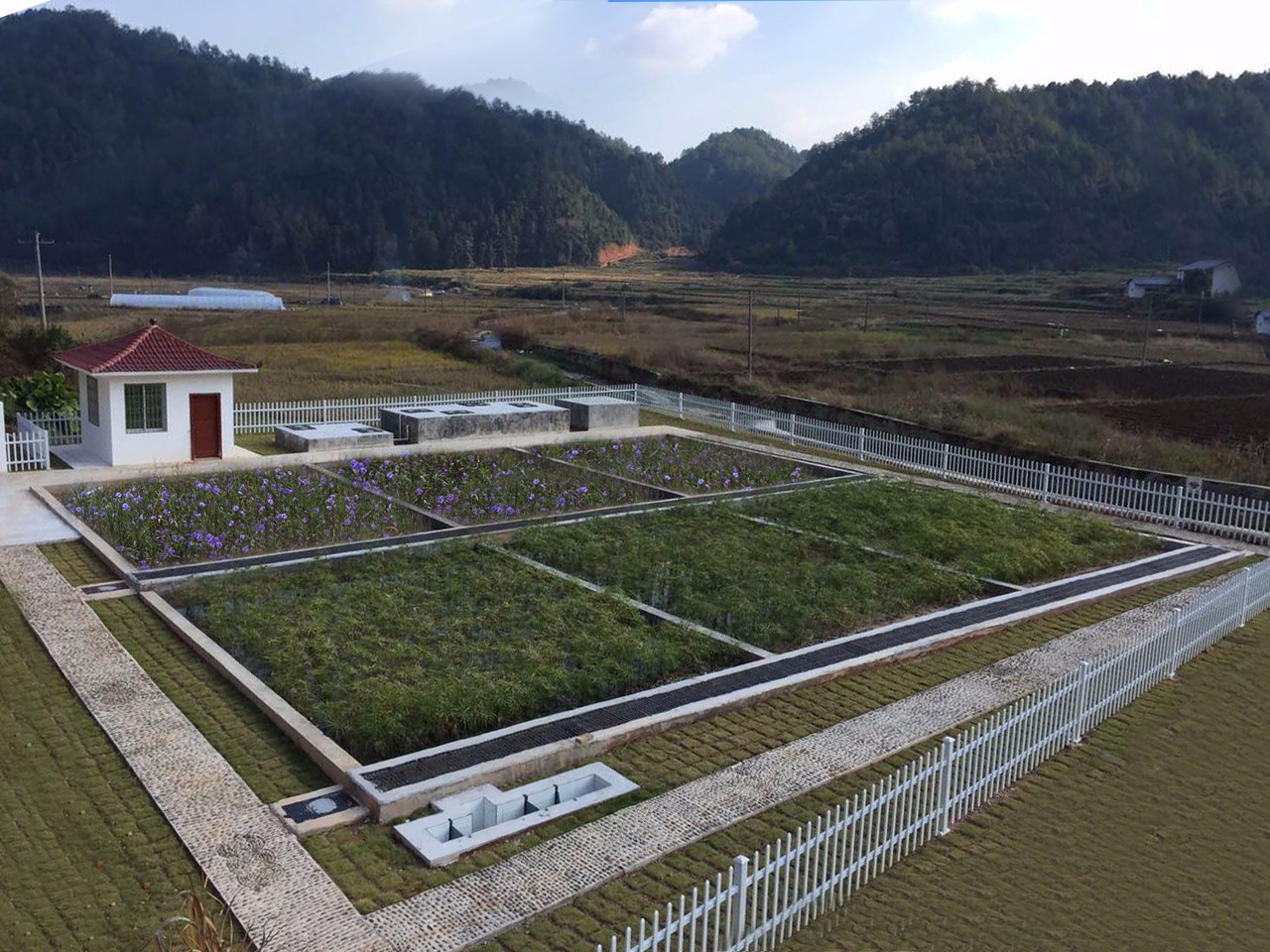 人工湿地.jpg